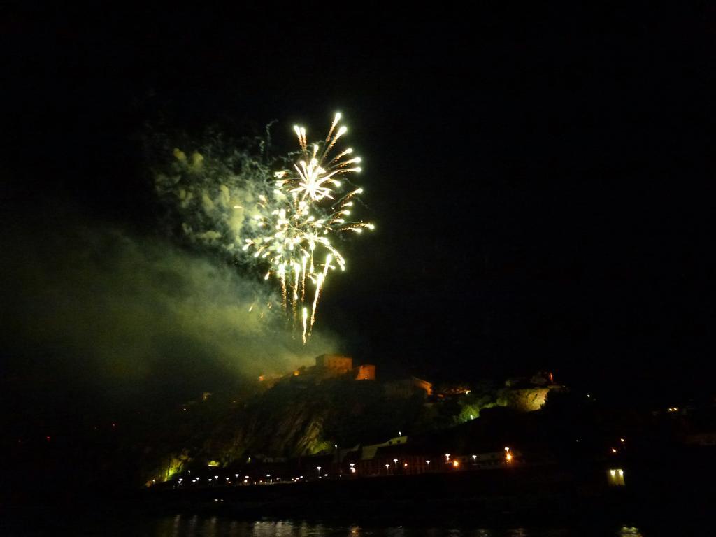 Ferienwohnungen Im Moseltal Löf Εξωτερικό φωτογραφία
