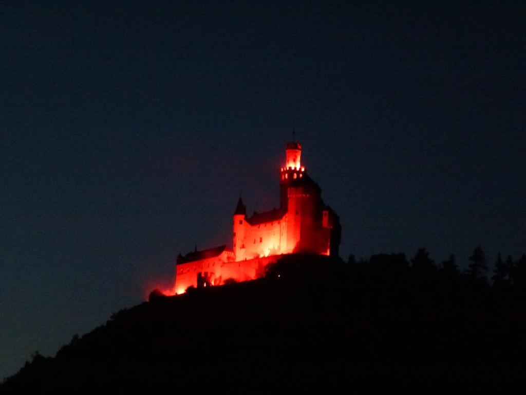 Ferienwohnungen Im Moseltal Löf Εξωτερικό φωτογραφία