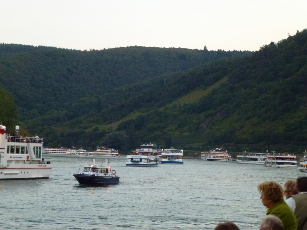 Ferienwohnungen Im Moseltal Löf Εξωτερικό φωτογραφία